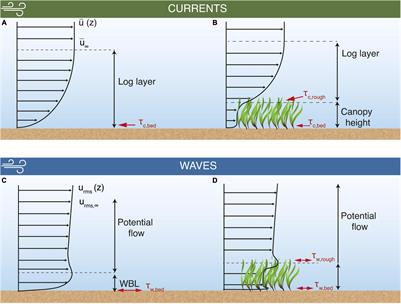 <mark class="highlighted">Seagrass Meadows</mark> Reduce Wind-Wave Driven Sediment Resuspension in a Sheltered Environment